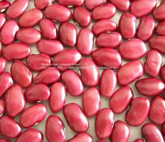 Dark Red Kidney Bean