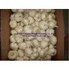 Chinese White Garlic photo-3