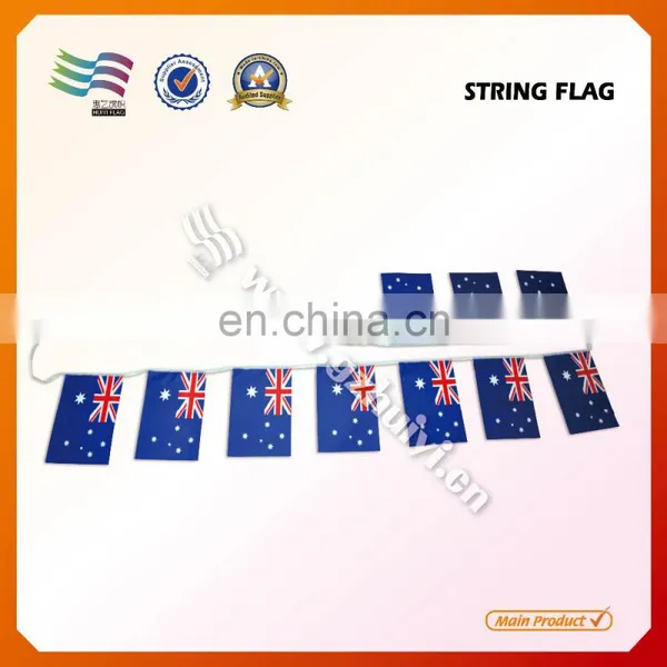 Custom Promotion Hanging National Flags on String photo-3