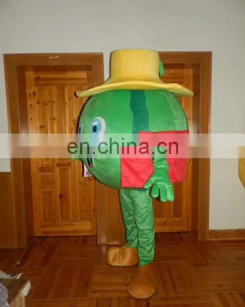 HOT Promotional Customized Fruit Advertising Costume for Adult Wearing photo-3