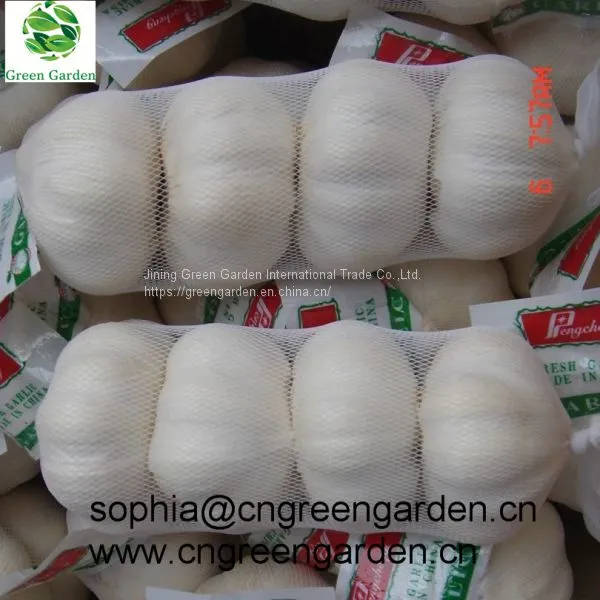 Chinese Fresh Garlic Normal White Garlic Pure White Garlic Dry Garlic photo-2