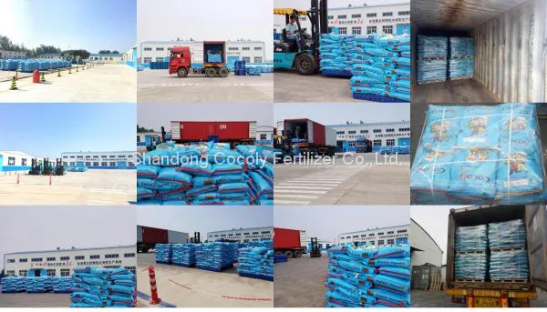 Cocoly Granular Water-soluble Fertilizer China Manufacturer photo-3