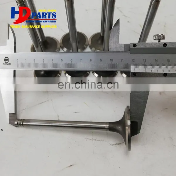 Excavator Diesel Engine BF4M2012 BF6M2012 TCD2012 L04 2V Valve Intake And Valve Exhaust photo-6