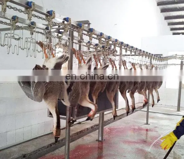 Slaughterhouse Hooks Chicken Defeather Machine Chicken Feather Cleaning Machine photo-7