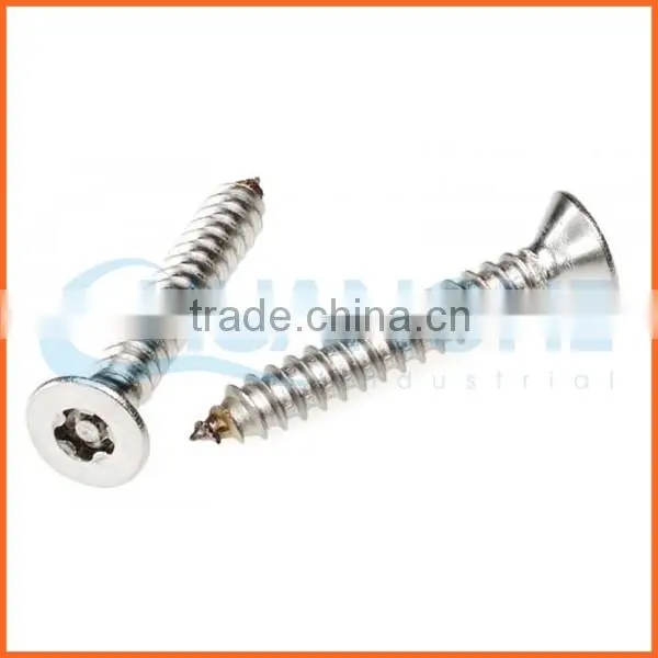 China Supplier Stainless Steel 316 Anti-theft Screws photo-4