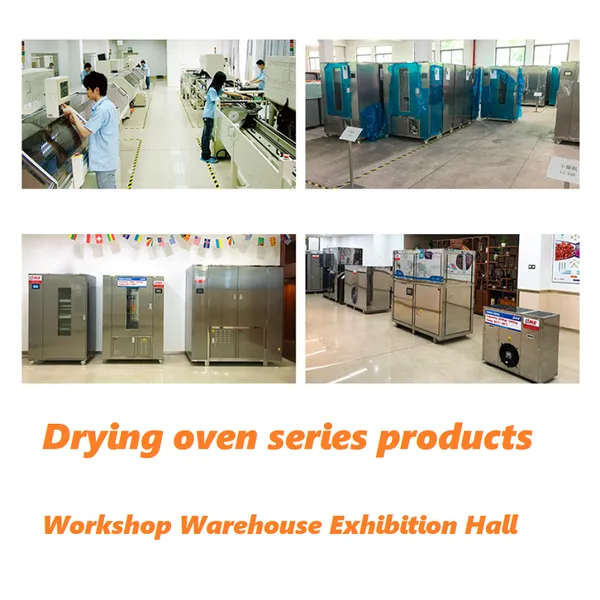 Food Drying Machine DehydratorClothes Dryer Dried Ingredients Dehydrator photo-4