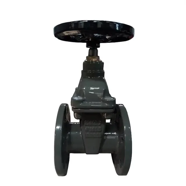 BS DIN PN16 Soft Seal Non Rising Stem Flange Gate Valve Cast Iron Ductile Iron GGG50 Osy Gate Valve Price photo-6