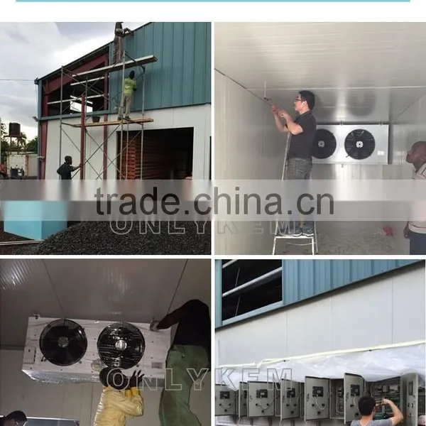 Walk in Cold Chamber and Cold Rooms for Horticulture photo-6