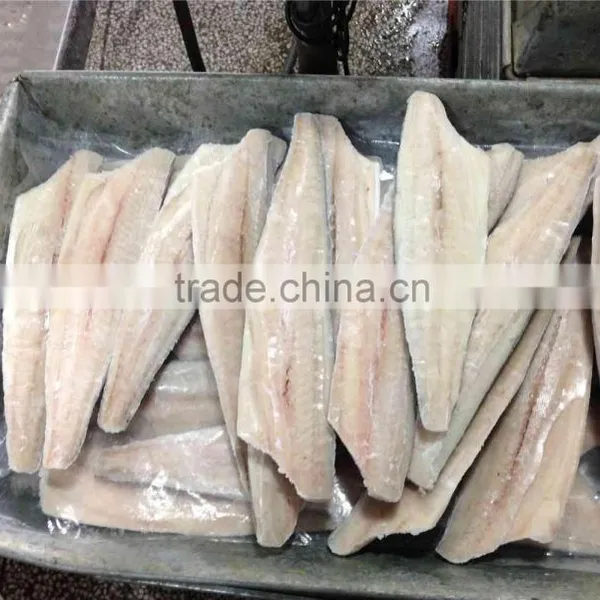 Spanish Mackerel Fillets