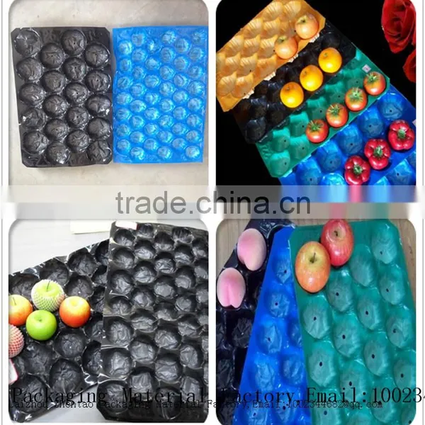 Professional Manufacture Fruit Packaging Tray With Holes Cup Holder photo-3