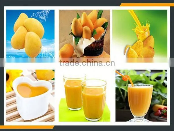 Leader Excellent Performance Mango Peeling and Pulping Machine for Juice photo-6