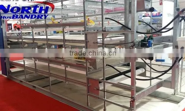 Full Automatic Feeding and Drinking System A Type Layer Quail Cage photo-5