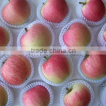 Plastic Machine EPE Foam Net Production Line photo-6