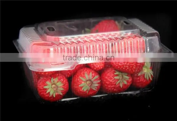 Plastic Clear Strawberry Packaging Box With Lid photo-3