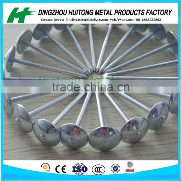 BWG9X2.5" SIZE OF GALVANIZED ROOFING NAILS WITH UMBRELLA HEAD