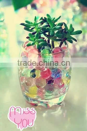 Garden Decoration Magic Water Beads for Lucky Bamboo photo-4