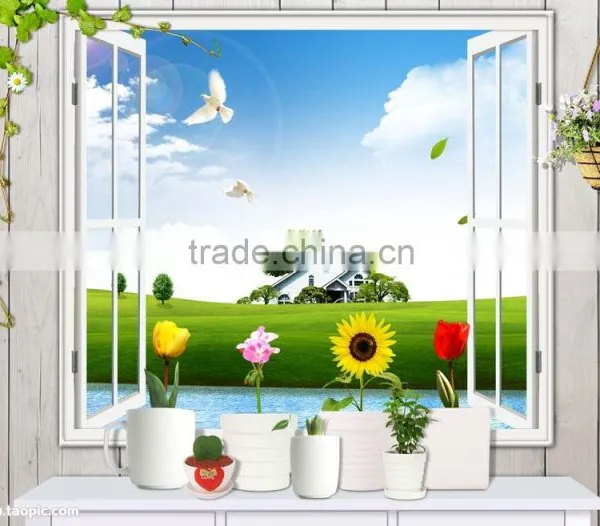 2015 Doors With Windows That Open