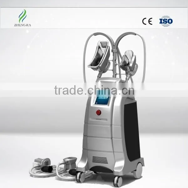 Cryolipolysis Machine / Cryolipolysis Fat Freezing Machine Price