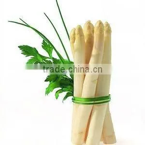 Asparagus