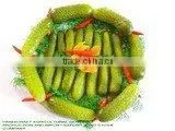Good Quality Vietnam Fresh Natural Pickled Cucumbers in Jar 6-9cm photo-4
