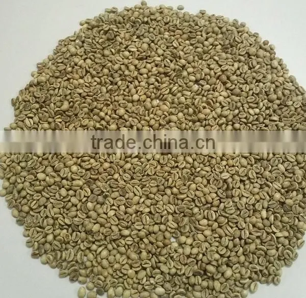 VIETNAM TOP QUALITY - WET POLISHED ROBUSTA COFFEE BEAN photo-2