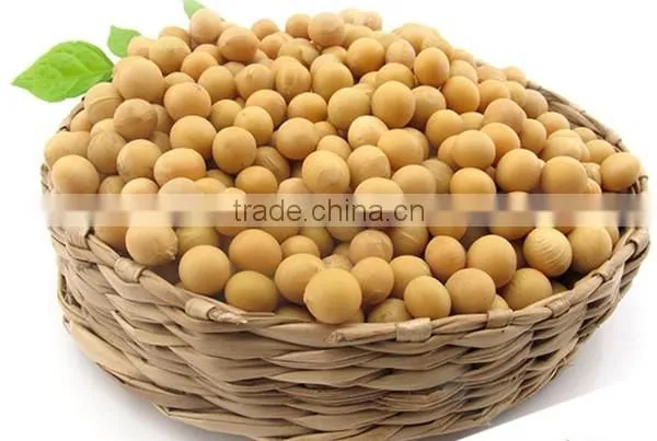 Soybeans Kernel