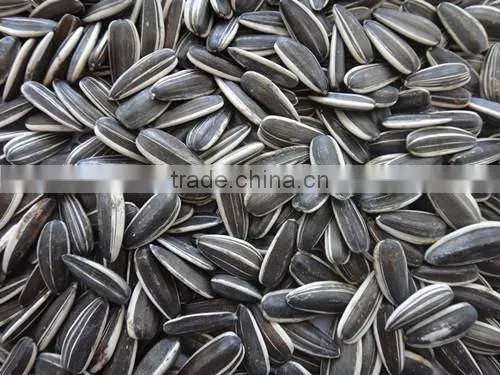 Purity 99.99% Inner Mongolia Sunflower Seeds Price photo-5