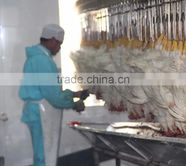 Poultry Processing Up to 8,000bph 008618052092685 photo-4