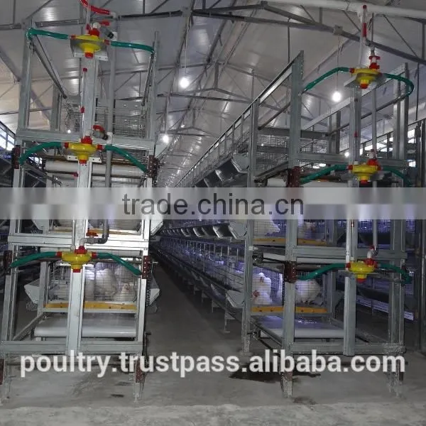 Poultry Cages