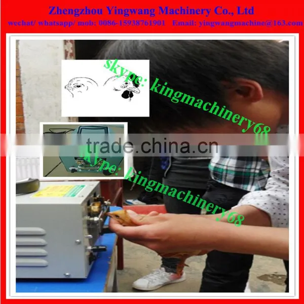 Chicken Beak Cutting Machine photo-3