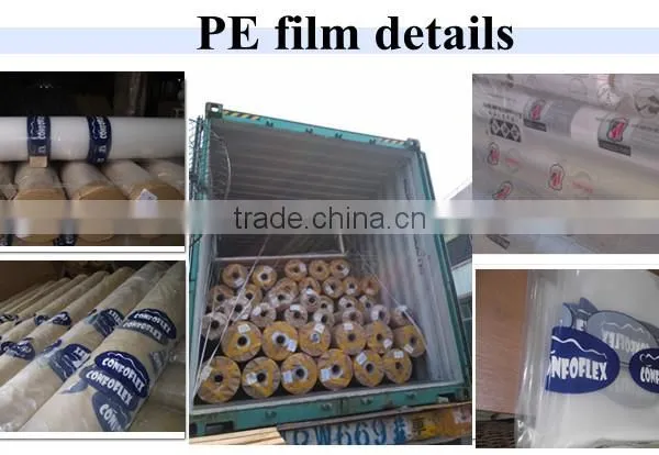 Transparency and Soft Printed pe Poly Bag photo-5
