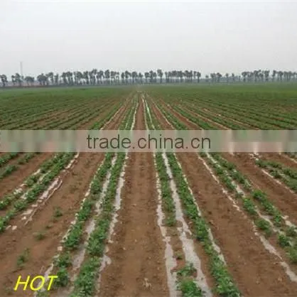 High Quality! Agricultural Mulch Film/PE Mulch Film/ PE Agriculture Film photo-5