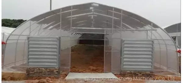 Greenhouse Wall Mounted Cooling Fan Temperature Control System