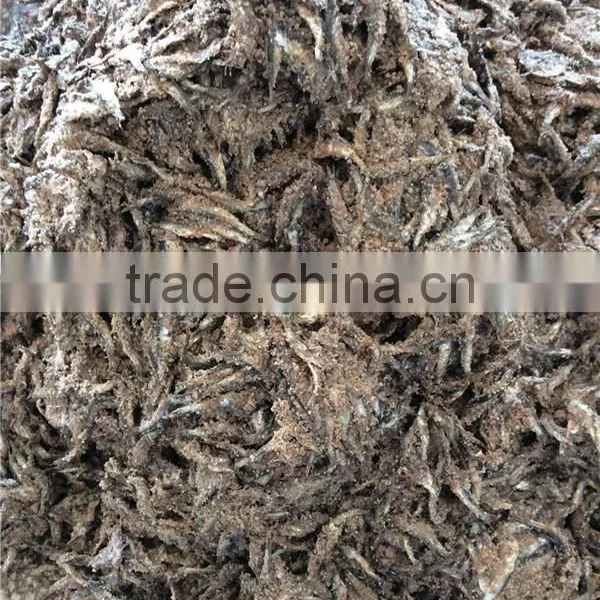 Salted Anchovy Head off photo-6