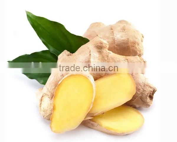 Sweeter Taste of Ginger Tea With Brown Cane Sugar photo-4
