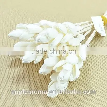 Bamboo Shoot Sola Flower Aroma Diffuser With Reed or Cotton Rope photo-2