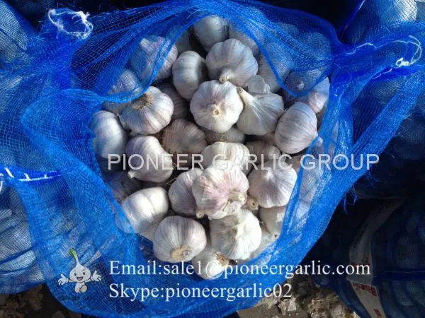 New Crop 5.5cm Normal White Fresh Garlic In 10 kg Mesh Bag Packing photo-3