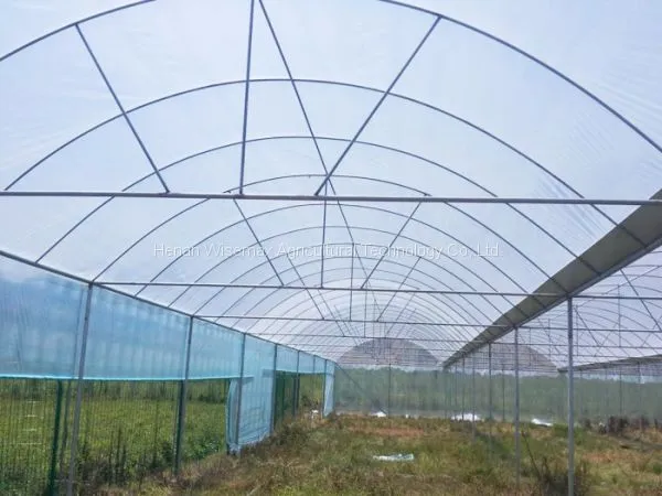 Agriculture Tomato Vegetable Double Plastic Film Inflatable Greenhouse photo-4