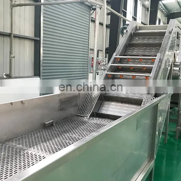 Industrial Fruit and Vegetable Cleaner Washer Bubble Washing Machine photo-3