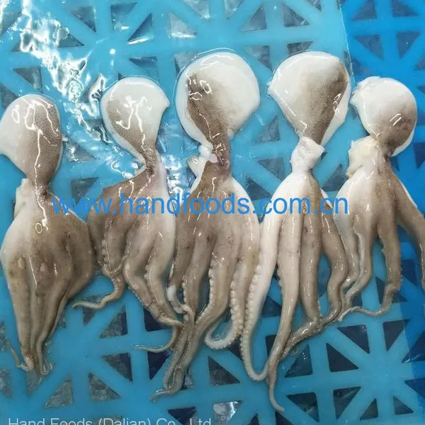 Frozen Cleaned Baby Octopus photo-4
