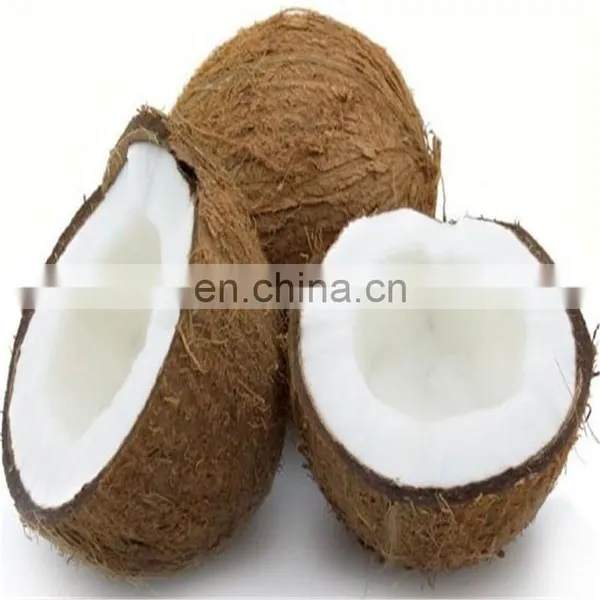 Turn-key Engineering Coconut Water Milk Extractor Extraction Processing Machinery and Equipment for Coconut Oil Production Line
