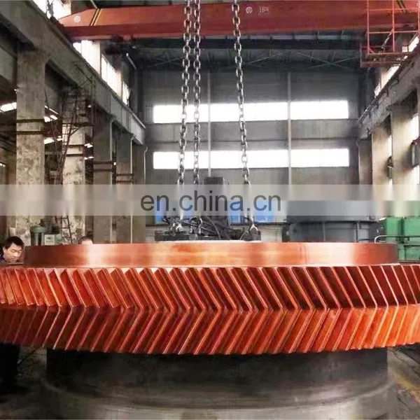 LYHGB Customized Processing Gears Stainless Steel Ring Gear Large Size Girth Gear photo-5