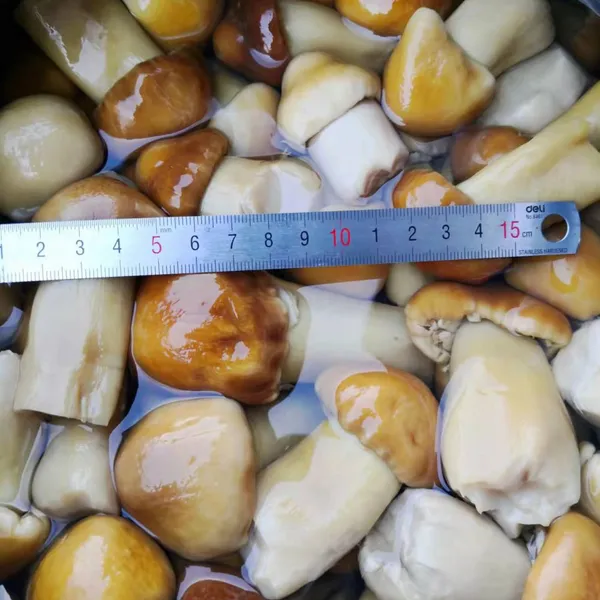Stropharia in Brine photo-3