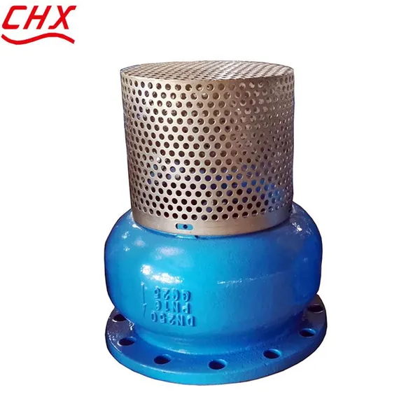 JIS/ANSI/DIN Foot Valve Cast Iron GGG50 Ductile Iron Flange Stainless Steel Filter Strainer Water Pump photo-4
