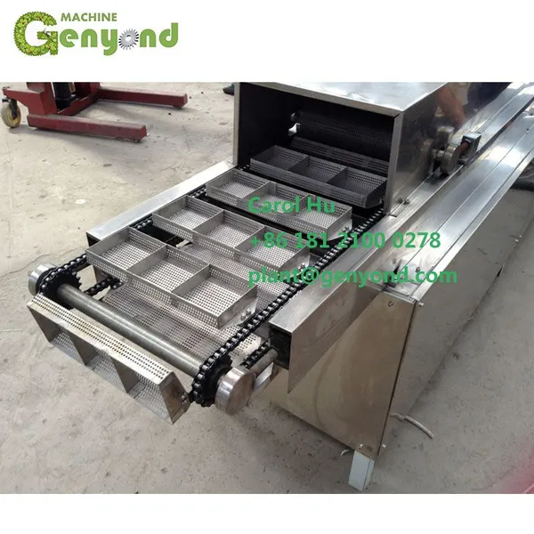 Electric Fried Instant Noodle Frying Machine Non-fried Instant Noodle Steaming Factory Equipment photo-5