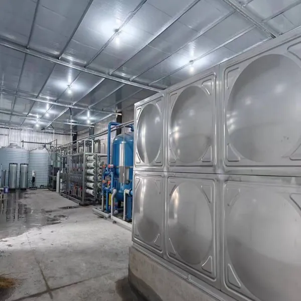 Manufacturer of Deionized Water Equipment From Datong Paint Factory. Installation and Maintenance of Household Water Softening Equipment photo-2