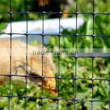 Extruded Plastic Mesh Roll for Rearing Chicks photo-4