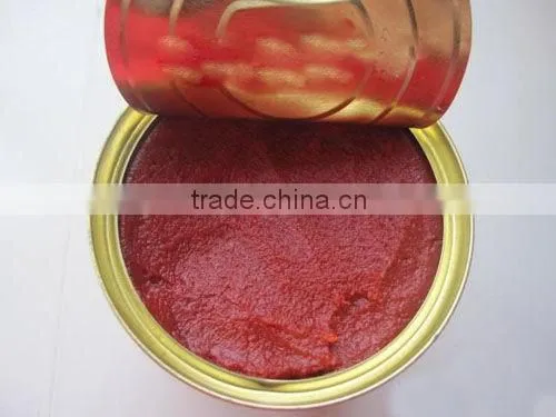 Delicious Seasoning Canned Tomato Paste