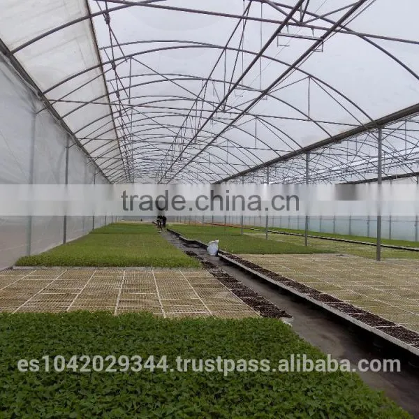 Seedling Planting Machine and Plant Nursery for Hydroponic Systems photo-2