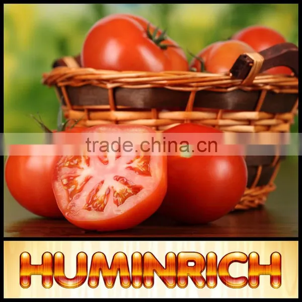 Huminrich Stimulate Root Hair Development Agricultural Fertilizers Sh9016-2 Sodium Humate. I.E. Powder photo-2